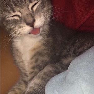 Meet your Posher, Shyla